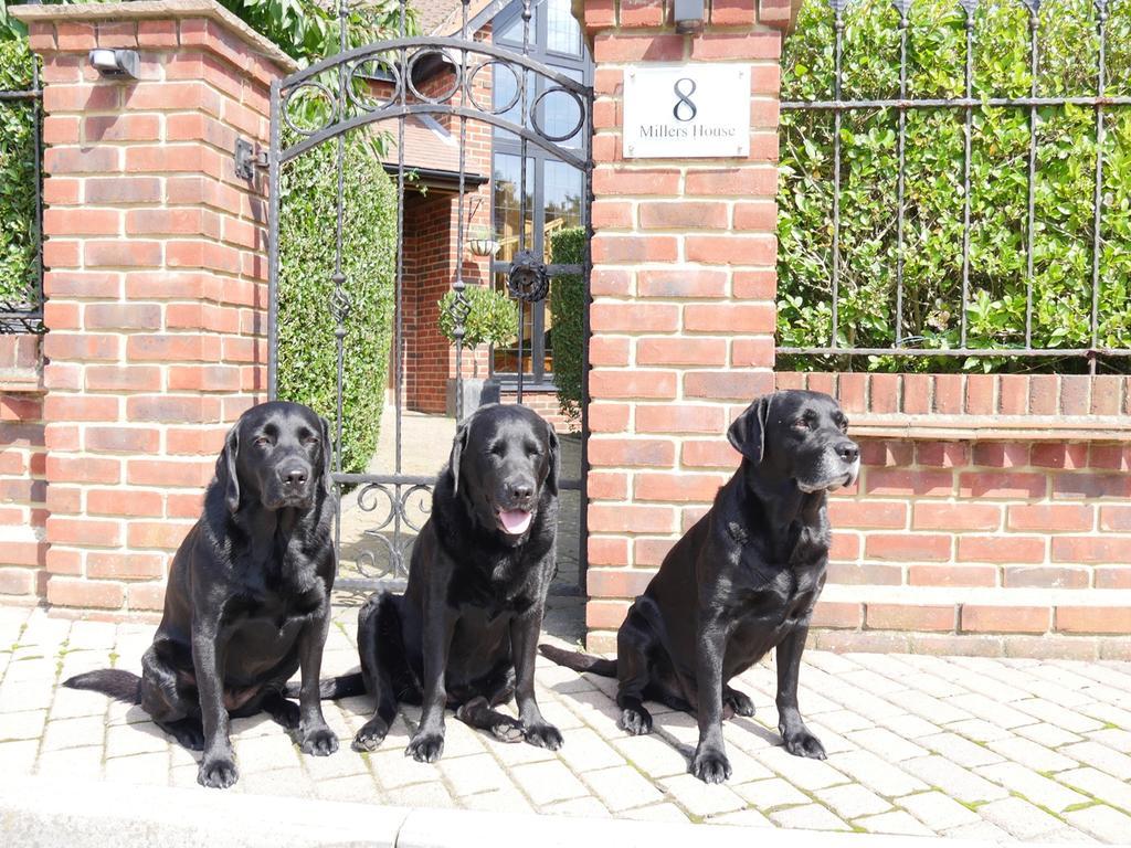 Millers House Boutique B&B Emsworth Luaran gambar