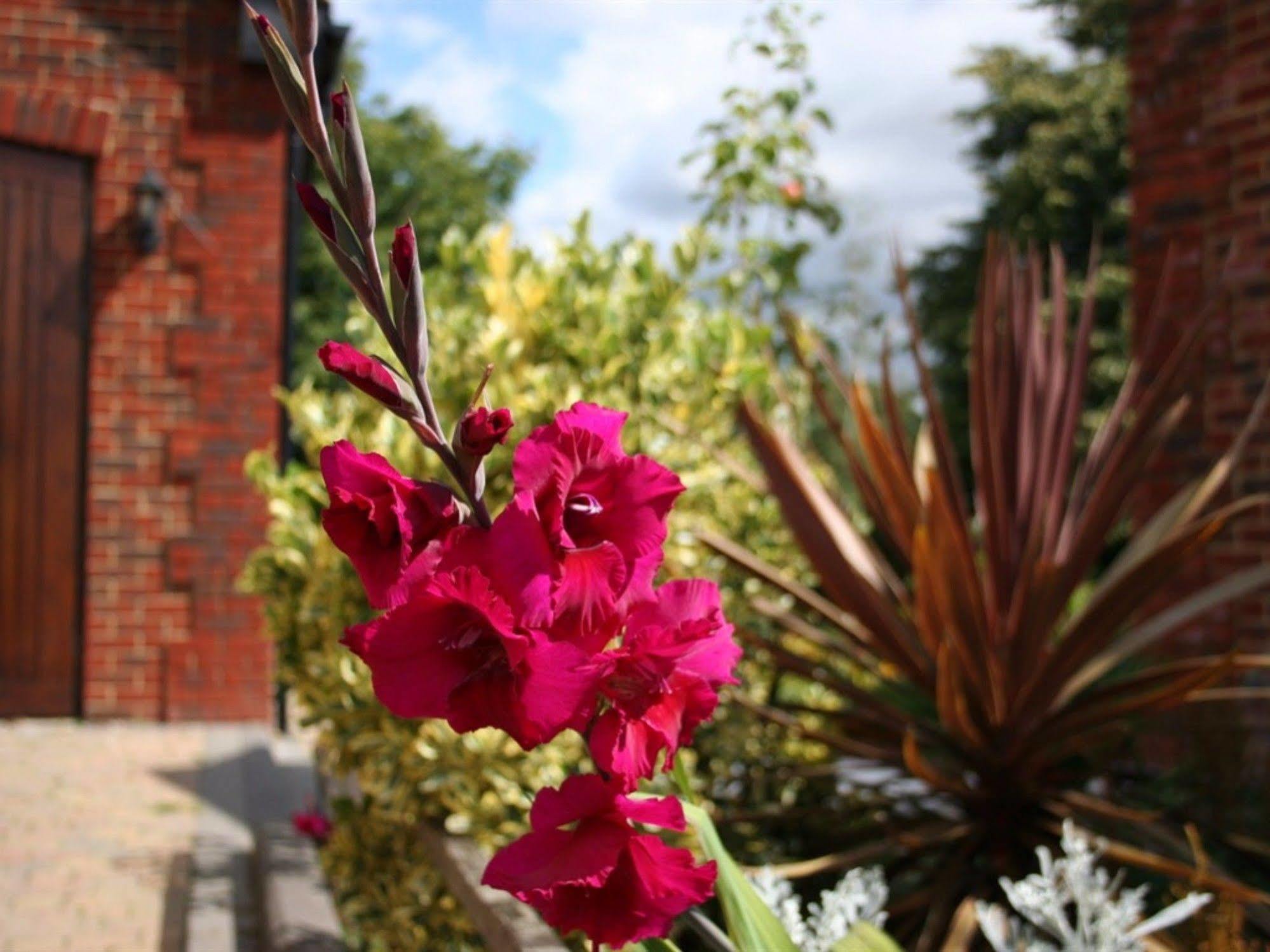 Millers House Boutique B&B Emsworth Luaran gambar